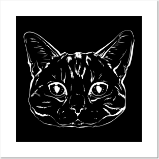 Scottish cat portrait art Posters and Art